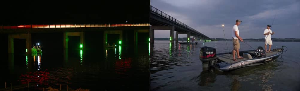 Bridge Lighting & Night Fishing