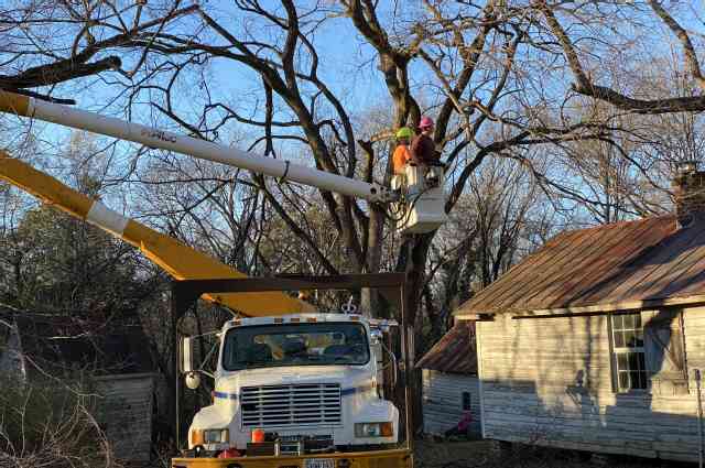 The Sunnyside Sisters Bed and Breakfast / Clarksville VA / Tree still standing