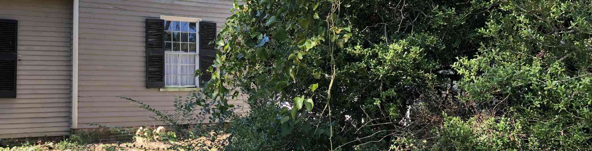 The Sunnyside Sisters Bed and Breakfast / Clarksville VA / Tree trimmed today