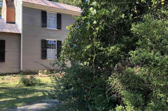 The Sunnyside Sisters Bed and Breakfast / Clarksville VA / Tree trimmed today