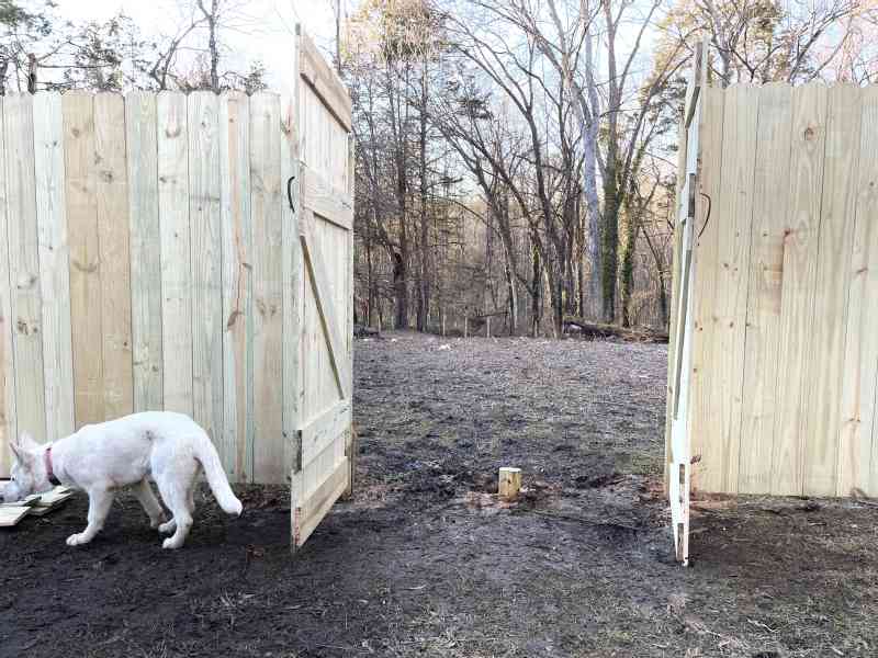 We can't believe it but the Dog Pen is done! Bushes are all cleared, > 90 posts are put in, 500 ft wire, almost 30 planks and a lot of hours went into this…