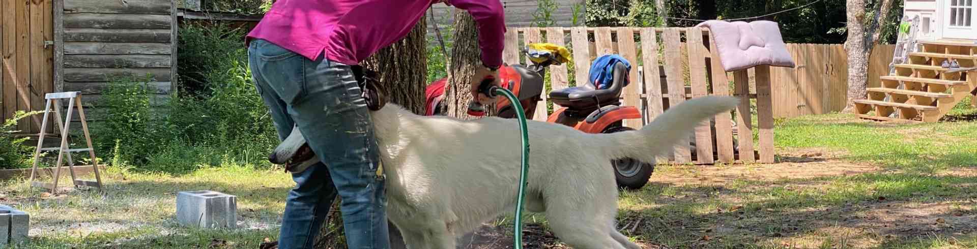 The Sunnyside Sisters Bed and Breakfast / Clarksville VA / In the meanwhile also washing the pack (Mijne in the pic)