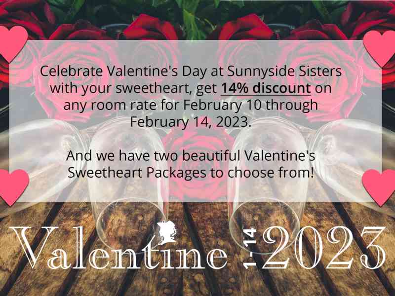 With the Christmas decorations barely put away, we are focusing on Valentines day. So if you want to treat your sweetheart on a very romantic and special…