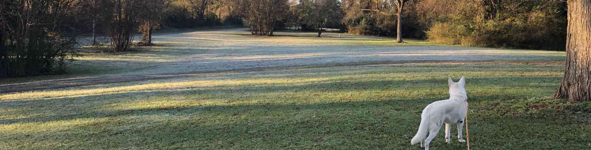 The Sunnyside Sisters Bed and Breakfast / Clarksville VA / Morning frost