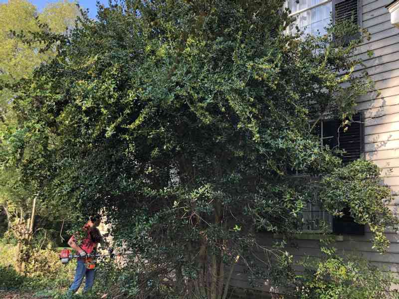 Yep, the bushes at the left side of the house are gone and HELLO what a beauty she is! For a long time this jewel was hidden; time to reveal the place. Tomorrow…