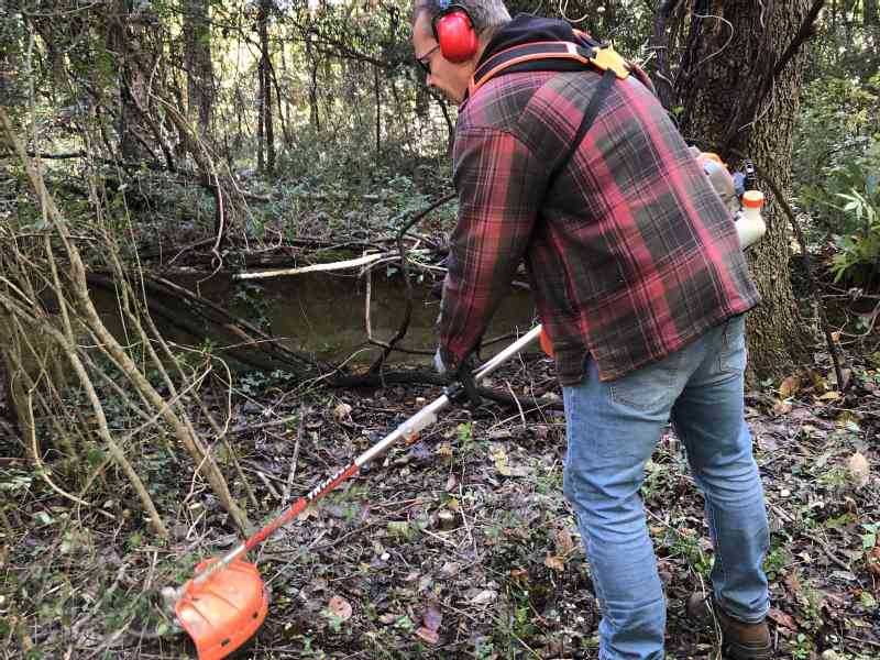 After rain comes sunshine they say. So yesterday it was a beautiful day to work outside and that is what we did. We cut more (small) trees in the forest, and…