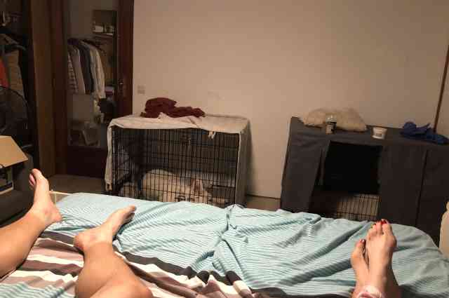 The Sunnyside Sisters Bed and Breakfast / Clarksville VA / Everybody in the bedroom