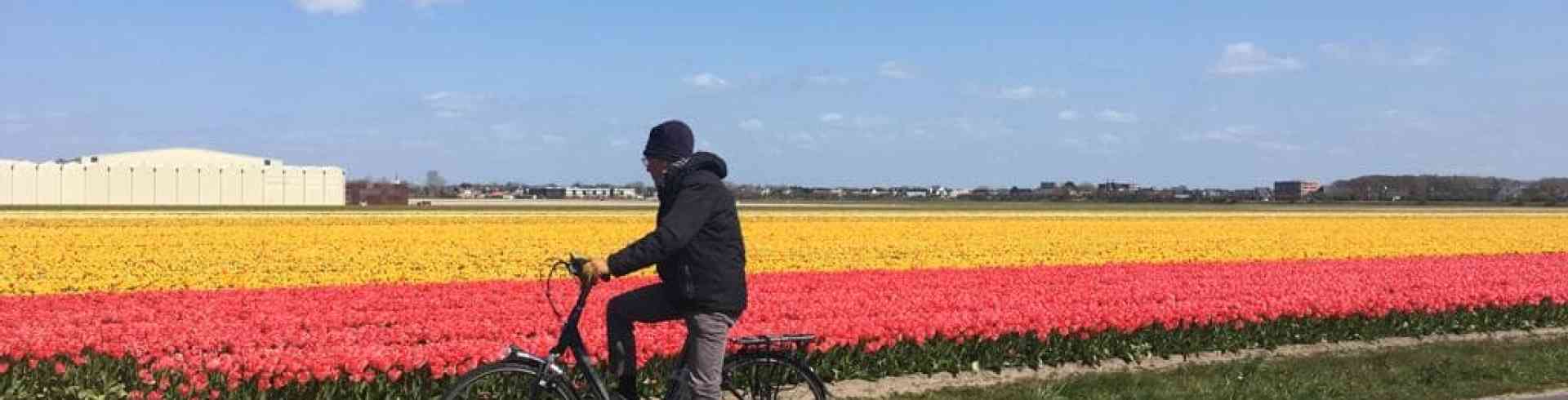 The Sunnyside Sisters Bed and Breakfast / Clarksville VA / Tulips from Holland and my dad on his bike