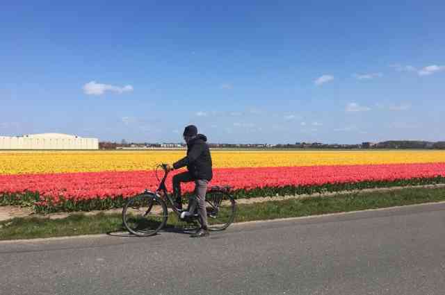 The Sunnyside Sisters Bed and Breakfast / Clarksville VA / Tulips from Holland and my dad on his bike