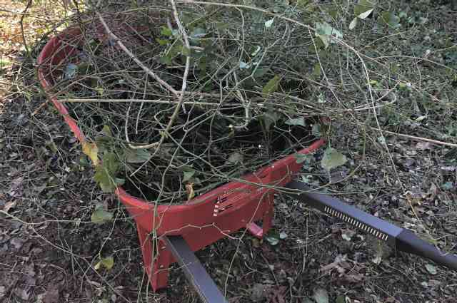 The Sunnyside Sisters Bed and Breakfast / Clarksville VA / Wheel barrow full with ‘sleeping beauty bushes’