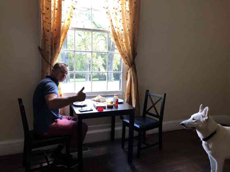 This week we focused our energy on making the house clear from bushes, meeting with the contractor and our realtor, Karin. We also received stuff that we ordered…