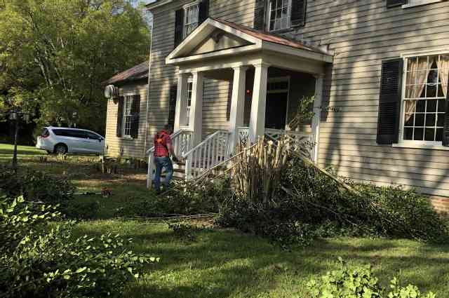 The Sunnyside Sisters Bed and Breakfast / Clarksville VA / So a lot of tree!!!