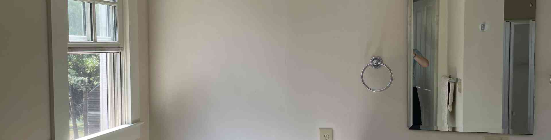 The Sunnyside Sisters Bed and Breakfast / Clarksville VA / Cleaning bathroom!