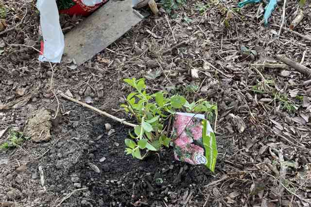 The Sunnyside Sisters Bed and Breakfast / Clarksville VA / Front