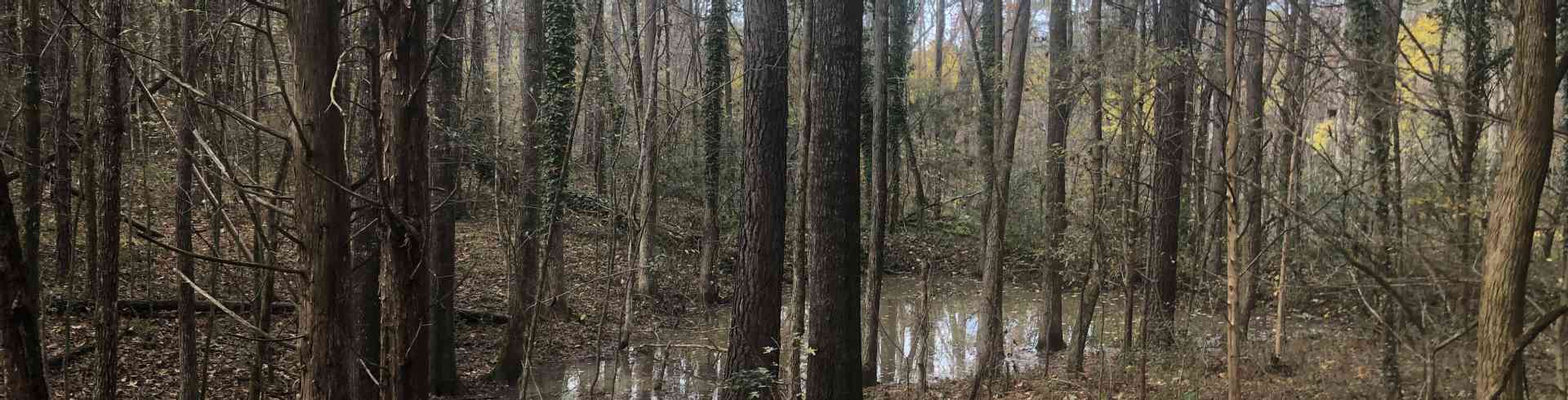 The Sunnyside Sisters Bed and Breakfast / Clarksville VA / Pond, we hope to explore further soon!