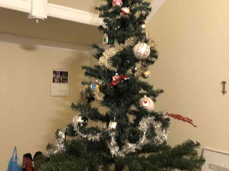 Since this week we have 3 gas heaters that keep us, and all the animals, (finally) warm. The cozy fire also brought us in the Christmas spirit and so we borrowed…