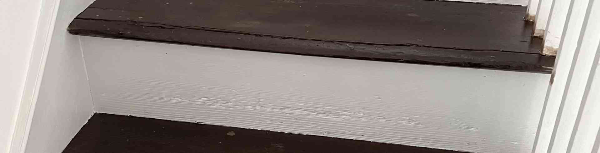 The Sunnyside Sisters Bed and Breakfast / Clarksville VA / Stairs painted