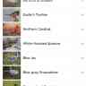 The Sunnyside Sisters Bed and Breakfast / Clarksville VA / Northern Cardinals ...