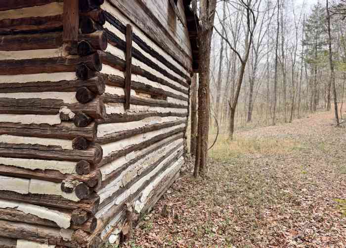 Sunnyside Estate — Historic Virginia Estate for Sale / 23 Private acres