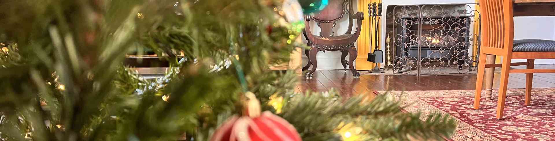 The Sunnyside Sisters Bed and Breakfast / Clarksville VA / Breakfast room with Chistmas decoration