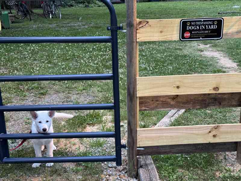 Just a few weeks ago, we were excited to unveil our new walking path, the ’Sunnyside Loop.’ It’s a peaceful trail that also winds through a part of our…