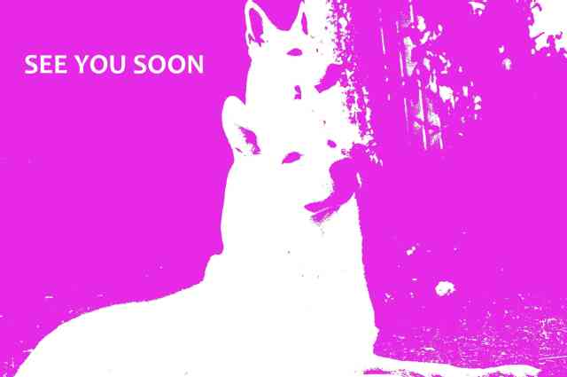 The Sunnyside Sisters Bed and Breakfast / Clarksville VA / See you soon_Mijne and Mojo