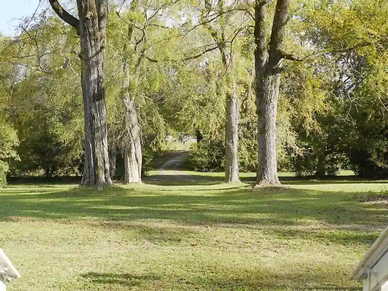 Book Your Stay at The Sunnyside Sisters Bed and Breakfast Today!