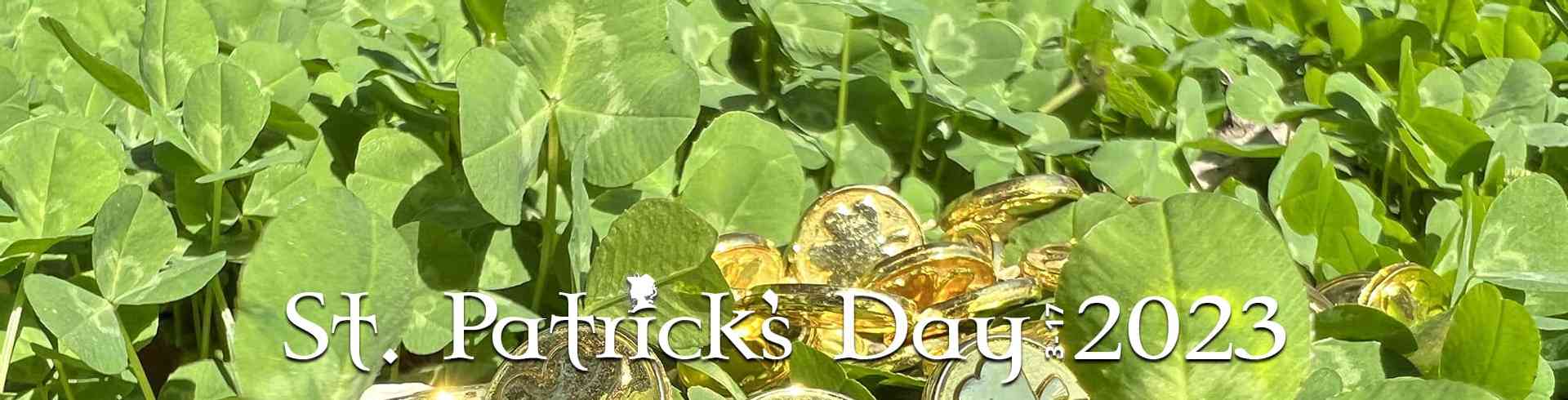 The Sunnyside Sisters Bed and Breakfast / Clarksville VA / St. Patricks week 2023