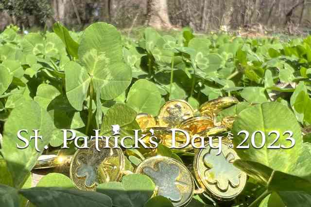 The Sunnyside Sisters Bed and Breakfast / Clarksville VA / St. Patricks week 2023