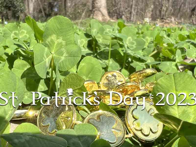 We have a special offer to celebrate the luck �� of the Irish and all things green.Book your room for 2023 during St. Patrick's week (Saturday March 11 until…