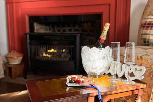 The Sunnyside Sisters Bed and Breakfast / Clarksville VA / 14% My Valentine Discount!
